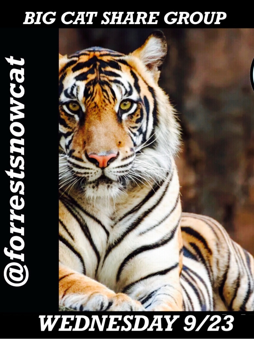 BIG CAT SHARE GROUP   WEDNESDAY 9/23 SIGN UP